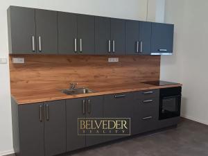 Pronájem bytu 3+kk, Teplice, Pražská, 51 m2