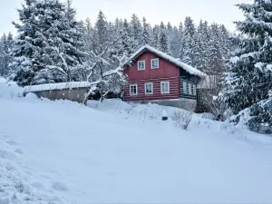 Prodej chalupy, Rokytnice nad Jizerou - Dolní Rokytnice, 108 m2