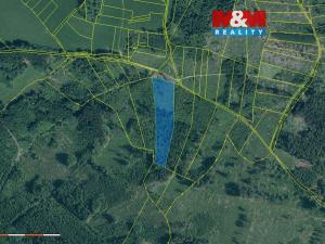Prodej lesa, Kolinec - Buršice, 11912 m2