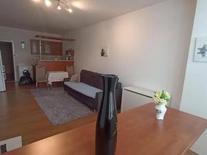 Pronájem bytu 1+kk, Teplice, U divadla, 38 m2