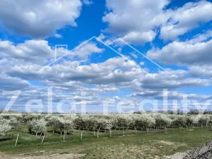 Prodej sadu/vinice, Rakvice, Horní, 210277 m2