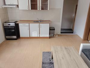 Pronájem bytu 1+1, Děčín - Děčín X-Bělá, Saská, 44 m2