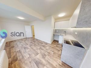 Pronájem bytu 1+kk, Frýdek-Místek, Janáčkova, 25 m2