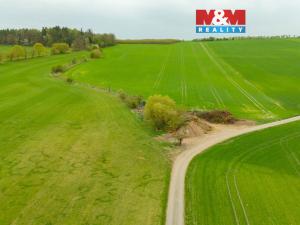 Prodej louky, Olešnice, 730 m2