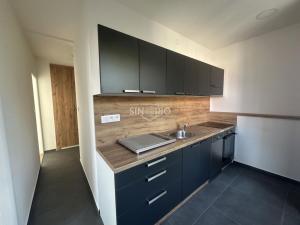 Pronájem bytu 2+1, Chomutov, Mjr. Šulce, 52 m2