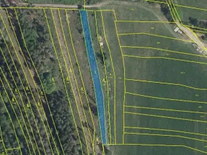 Prodej podílu lesa, Nový Rychnov, 6035 m2