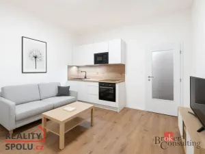 Prodej bytu 1+kk, Ostrava - Přívoz, Palackého, 22 m2