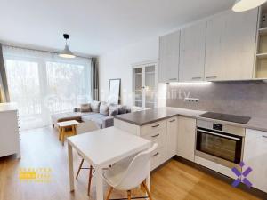 Pronájem bytu 2+kk, Brno, Fillova, 46 m2