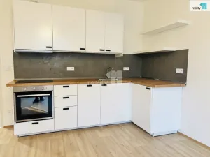 Pronájem bytu 3+kk, Praha - Žižkov, Biskupcova, 75 m2