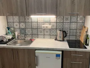 Pronájem bytu 2+kk, Olomouc - Hodolany, Březinova, 52 m2