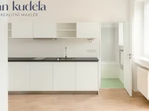 Pronájem bytu 1+kk, Brno, Trávníky, 21 m2