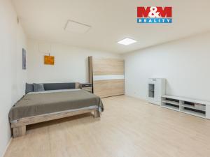 Prodej bytu 1+1, Praha - Břevnov, Bělohorská, 49 m2