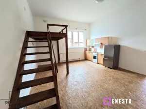 Pronájem bytu 1+kk, Tursko, Ke Statkům, 42 m2