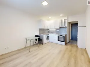 Pronájem bytu 1+kk, Opava - Kateřinky, Ratibořská, 22 m2