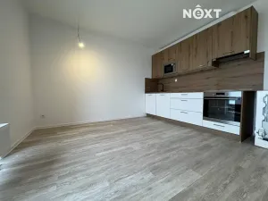 Pronájem bytu 2+kk, České Budějovice, Branišovská, 49 m2