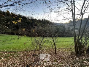 Prodej louky, Jesenný, 2409 m2