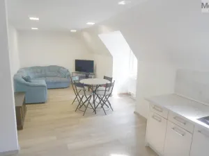 Pronájem bytu 2+kk, Litvínov - Horní Litvínov, Mánesova, 45 m2