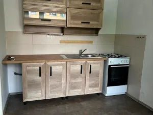 Pronájem bytu 3+1, Bílina, Aléská, 60 m2