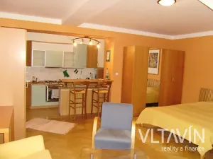 Pronájem bytu 1+kk, Praha - Vinohrady, Slezská, 45 m2