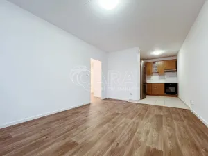 Pronájem bytu 2+kk, Praha, U pramene, 46 m2