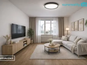 Prodej bytu 1+1, Luby, Tovární, 36 m2