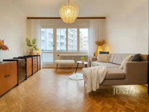 Prodej bytu 3+1, Písek - Pražské Předměstí, Pražská, 103 m2