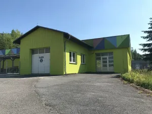 Pronájem komerční nemovitosti, Sokolov, Lipová, 60 m2