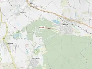 Dražba lesa, Vracov, 2231 m2