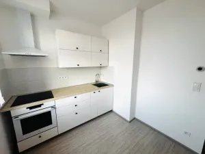 Pronájem bytu 2+1, Břeclav, Riegrova, 54 m2