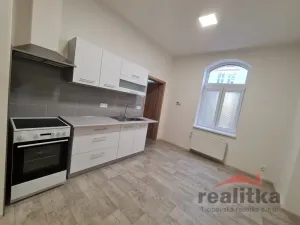 Pronájem bytu 1+1, Opava - Předměstí, Husova, 30 m2