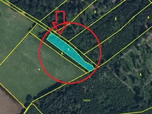 Prodej lesa, Velký Vřešťov, 1545 m2