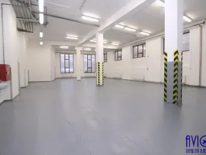 Pronájem skladu, Praha - Strašnice, U trati, 263 m2