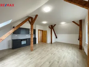 Pronájem bytu 1+kk, Lety, 48 m2