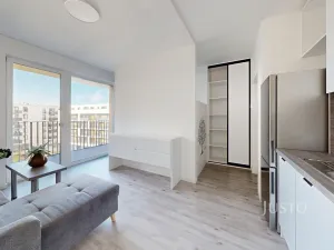 Pronájem bytu 1+kk, České Budějovice - České Budějovice 4, Vrbenská, 32 m2