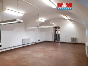 Pronájem zemědělského objektu, Lešná, 220 m2