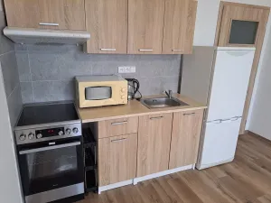 Pronájem bytu 1+kk, Hradec Králové, Jana Masaryka, 35 m2