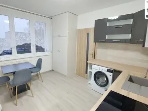 Pronájem bytu 1+1, Cheb, Lesní, 35 m2