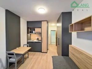 Pronájem bytu 1+kk, Brno, Francouzská, 20 m2