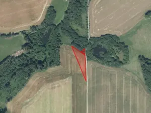 Prodej pole, Velká Losenice, 6511 m2