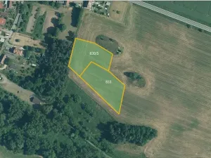 Prodej pole, Malý Bor, 3381 m2