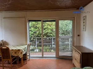 Pronájem bytu 1+kk, Planá, Sadová, 40 m2