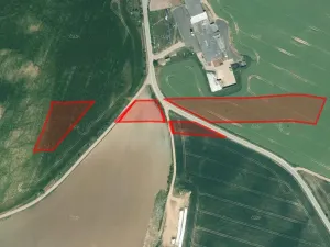 Prodej pole, Mladotice, 13772 m2