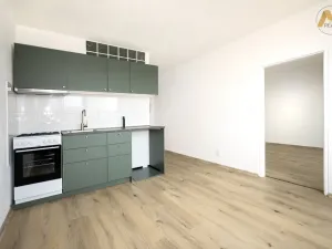 Pronájem bytu 1+1, Písek - Budějovické Předměstí, třída Přátelství, 37 m2