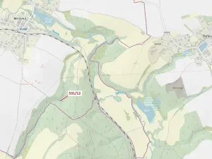 Dražba lesa, Havlíčkův Brod, 281 m2