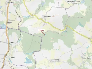 Dražba lesa, Žirovnice, 1388 m2