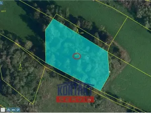 Prodej lesa, Strážek - Jemnice, 2666 m2