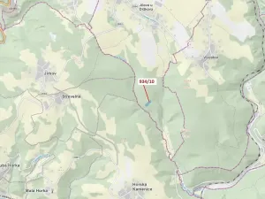 Dražba lesa, Jílové u Držkova, 4305 m2