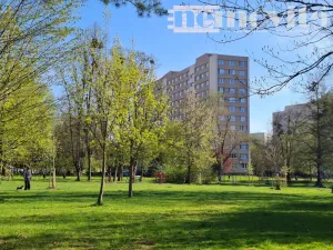 Prodej bytu 2+1, Ostrava, Na Robinsonce, 46 m2