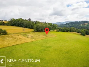Prodej louky, Víchová nad Jizerou, 991 m2