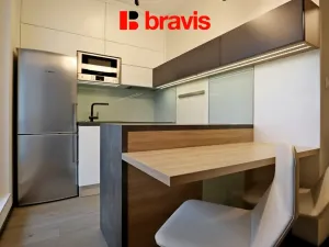 Pronájem bytu 1+kk, Brno - Veveří, Lidická, 42 m2